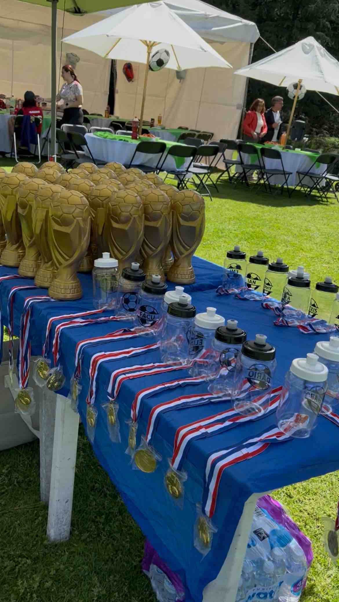 Bubble Soccer Acción